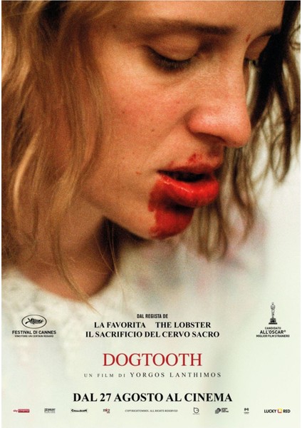 Dogtooth (2009) (Folyo / Afiş / Poster) 2534 ( 70 cm x 100 cm )