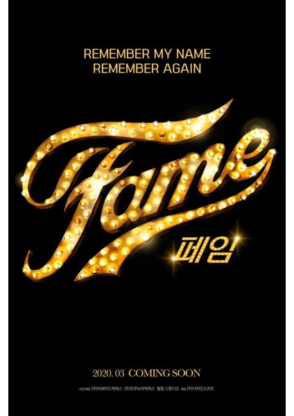Fame (2009) 2 (Folyo / Afiş / Poster) 2761 ( 70 cm x 100 cm )