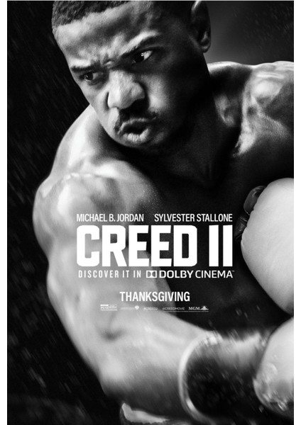 Creed II (2018) 3 (Folyo / Afiş / Poster) 2266 ( 70 cm x 100 cm )