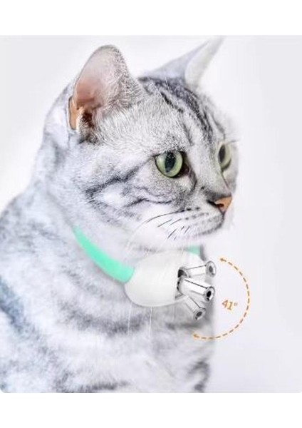 Akıllı Lazer Kedi Tasması – Otomatik Hareketli Işıklı Kedi Oyuncağı, USB Şarjlı modelleri