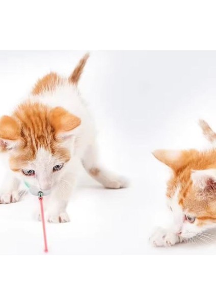 Akıllı Lazer Kedi Tasması – Otomatik Hareketli Işıklı Kedi Oyuncağı, USB Şarjlı fırsatları