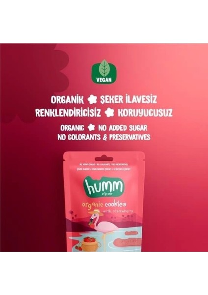 Nessiworld Humm Organik Vegan Çilekli Kurabiye 55 gr fiyatları