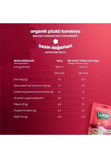Nessiworld Humm Organik Vegan Çilekli Kurabiye 55 gr modelleri