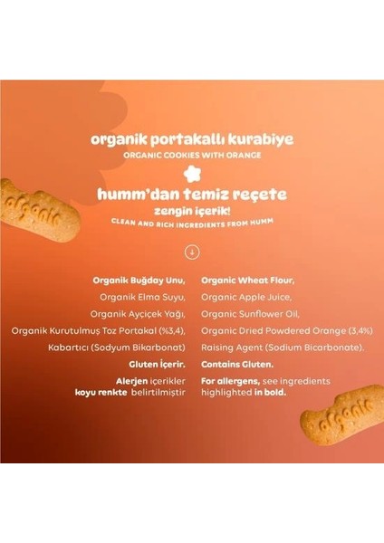 Nessiworld Humm Organik Vegan Portakallı Kurabiye 55 gr fırsatları