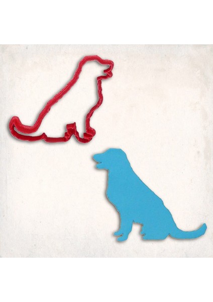 Golden Retriever Kurabiye Kalıbı Şekillendirici Kopat