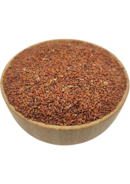 Tere Tohumu 25 gr