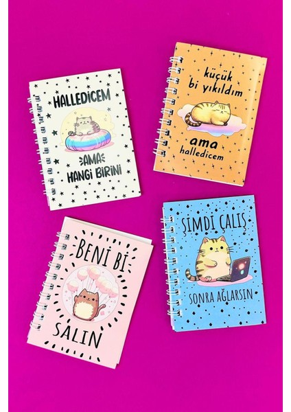 Mini 4'lü Kedili Spiralli Defter