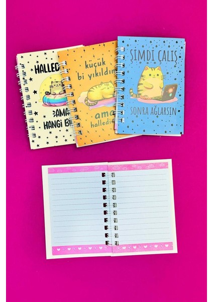 Mini 4'lü Kedili Spiralli Defter