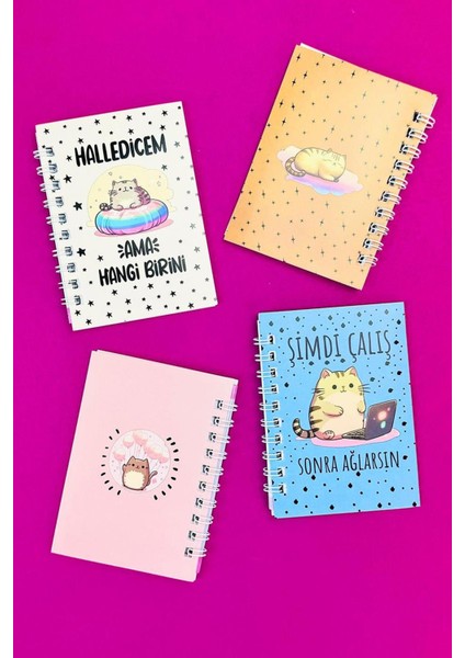 Mini 4'lü Kedili Spiralli Defter