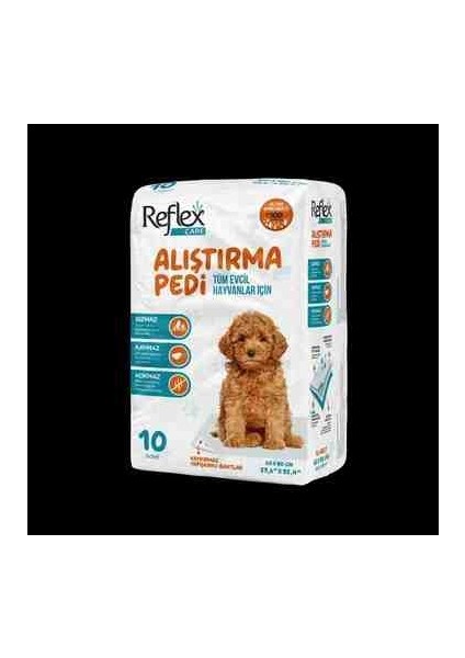 Köpek Alıştırma Pedi 10'lu 2 Adet