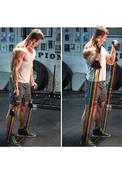 11 Parça Lateks Egzersiz Bandı Çekme Halatı Egzersiz Seti modelleri