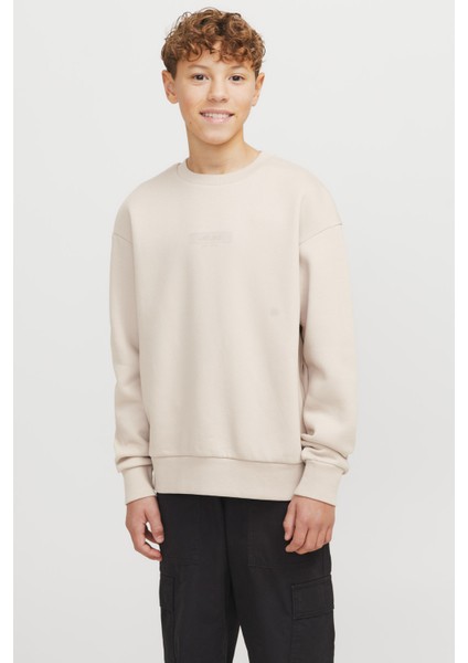 JJTAKA SWEAT CREW NECK JN Bej Erkek Çocuk Sweatshirt