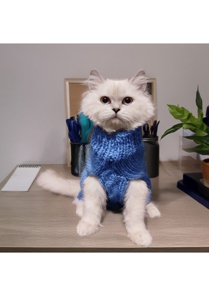 Kedi Köpek için Mavi Saç Örgülü Kazak