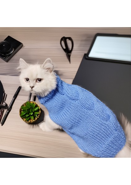 Kedi Köpek için Mavi Saç Örgülü Kazak