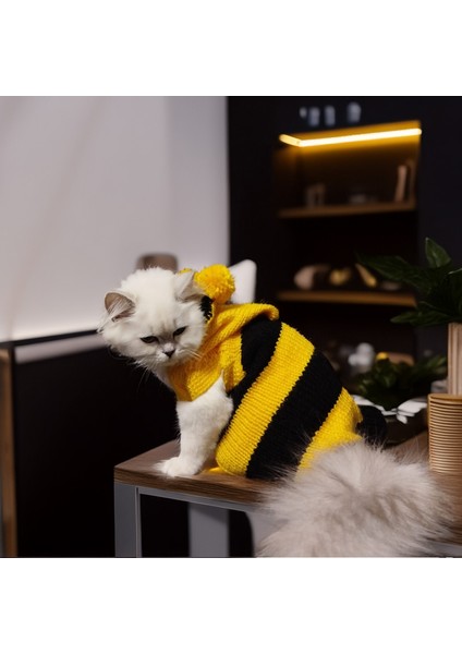 Kedi Köpek Için Arı Maya Kapüşonlu Kazak