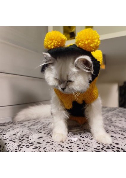 Kedi Köpek Için Arı Maya Kapüşonlu Kazak