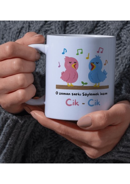 Kupa Bardak Sevgili Için Kuş Temalı O Zaman Şarkı Söylemek Lazım Yazılı Hediye Dear Tasarım Beyaz Kupa Bardak Kutup Kitap