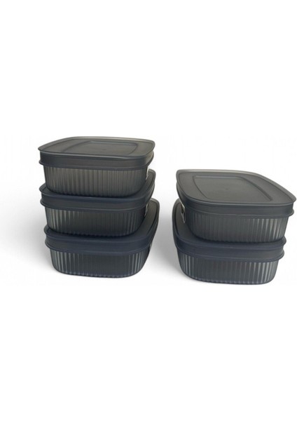 Shell Saklama Kabı Şeffaf 0.6 Lt, Antrasit, 5'li Set