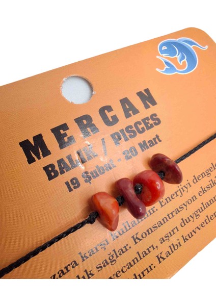 Balık Burcu Doğal Taş Bileklik fiyatları