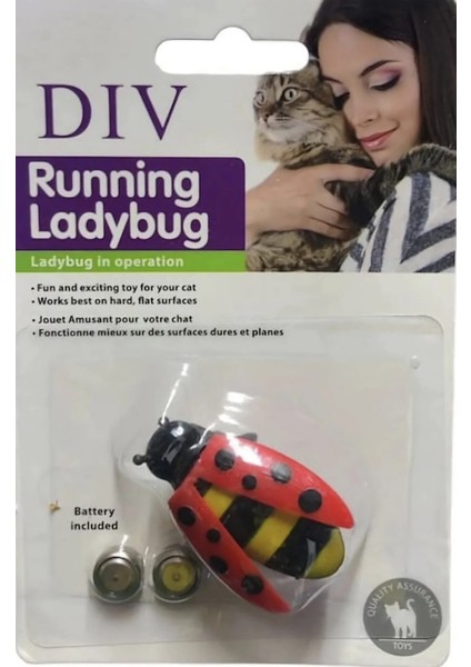 Mini Kedi Oyun Oyuncağı Titreşimli Uğur Böceği Oyuncak