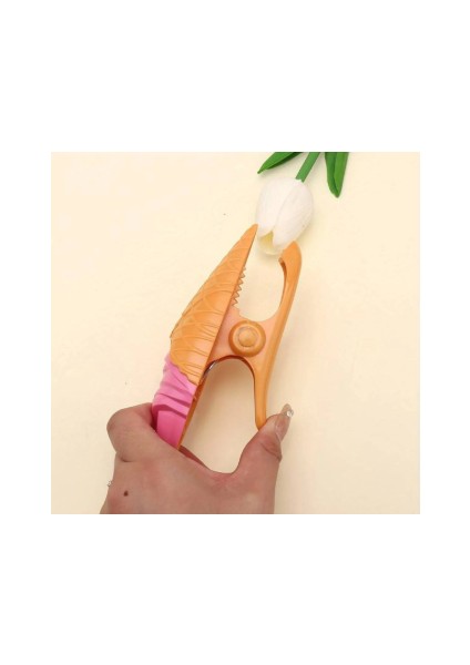 Pembe Dondurma Havlu Mandalı Adet