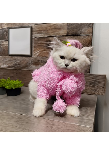 Pamuk Şekeri Lady, Pembe Kedi Köpek Elbise, Şapka ve Hırka Takım