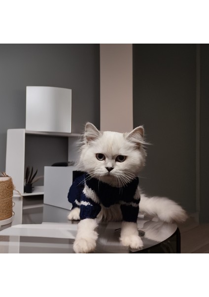 Kedi Köpek Için Lacivert Denizci Kazak Pantolon Takım