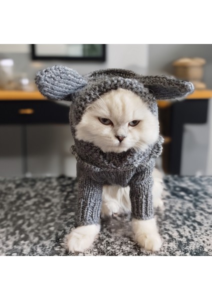 Kedi Köpek Için Gri Işıltılı Tavşan Kostümlü Tulum fiyatları