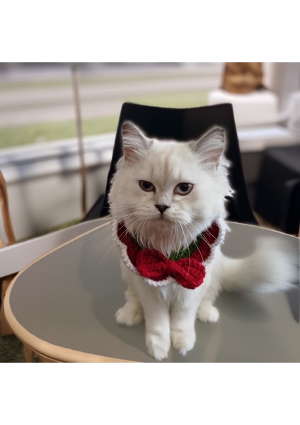 Kedi Köpek Için Kırmızı Papyonlu Yakalık