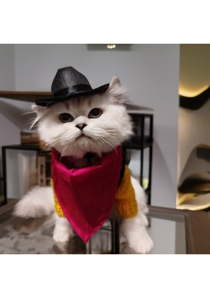 Kedi Köpek Için Redkit Kostümü (Şapka, Bandana, Kazak, Yelek Takım)