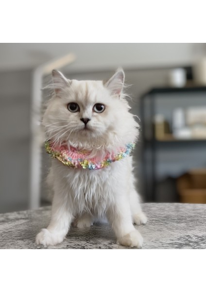 Kedi Köpek için Pembe Ebruli Yakalık