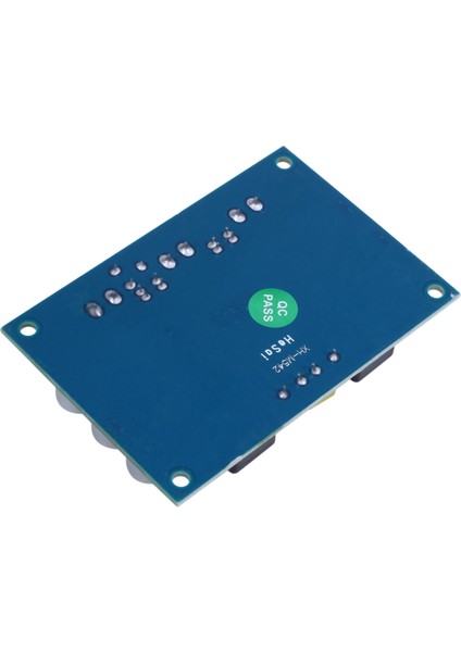 Dc 12V-24V TPA3116 D2 100W Mono Kanal Dijital Ses Güç Amplifikatörü Kurulu Araba (Yurt Dışından)