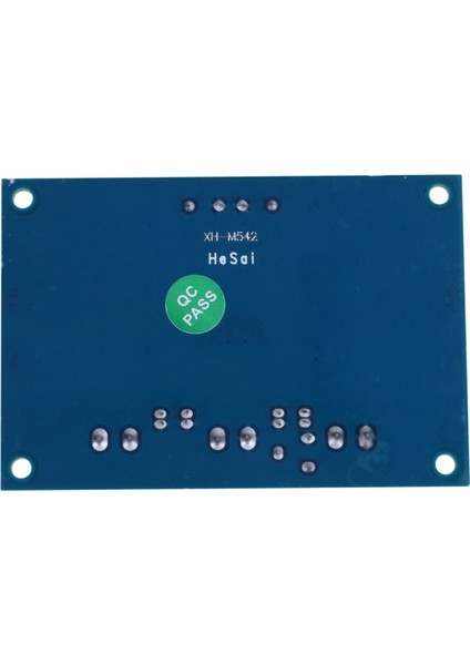 Dc 12V-24V TPA3116 D2 100W Mono Kanal Dijital Ses Güç Amplifikatörü Kurulu Araba (Yurt Dışından)