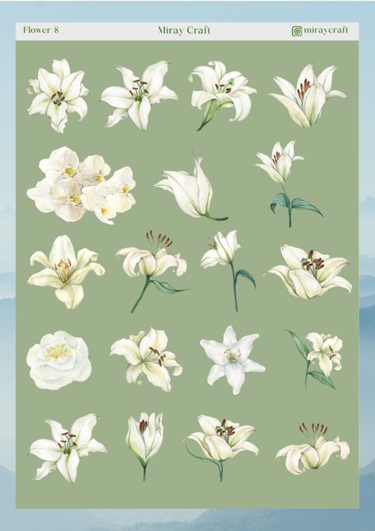 Miray Craft Çiçek Temalı 12*17 cm Sticker