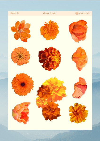Miray Craft Çiçek Temalı 12*17 cm Sticker