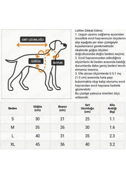 Ayı Desenli Küçük Köpek Sweatshirt