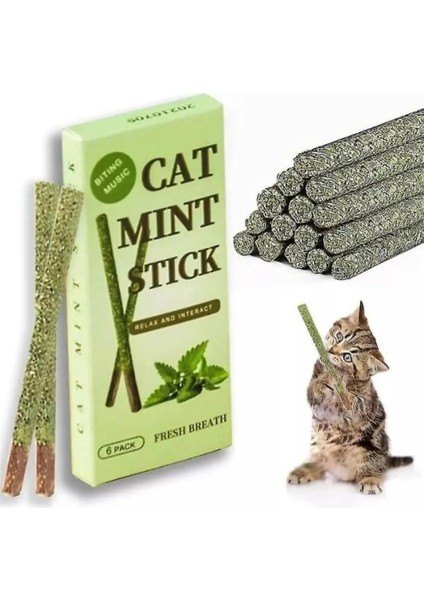 Catnipli Matatabi Stick 6'lı