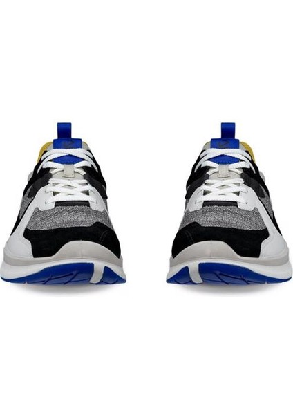 Biom 2.2 M Virtual