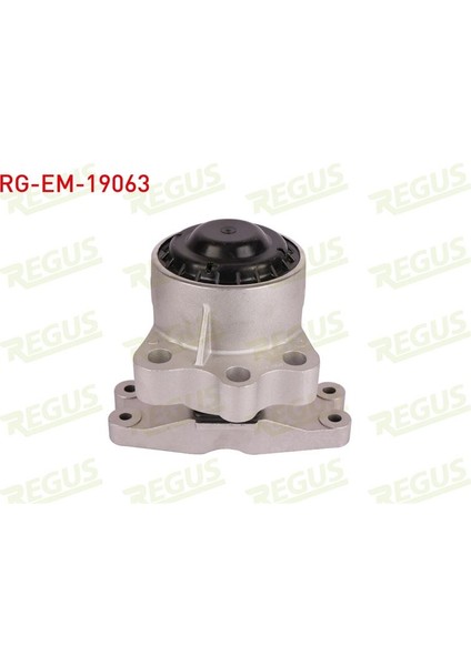 REGUS-RG-EM-19063 - Motor Takozu Transıt Custom V362-TRANSIT V363