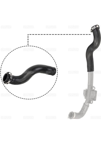 RAPRO-12501 - Turbo Hortumu Buyuk ( Renault : Kangoo Iıı 1.5dcı 08-- )