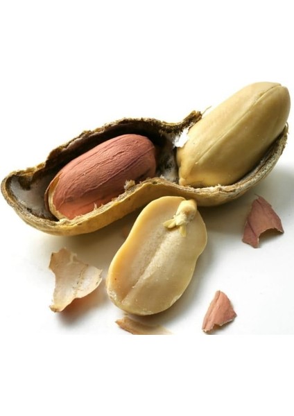 İç Yer Fıstığı 500 gr Büyük Boy