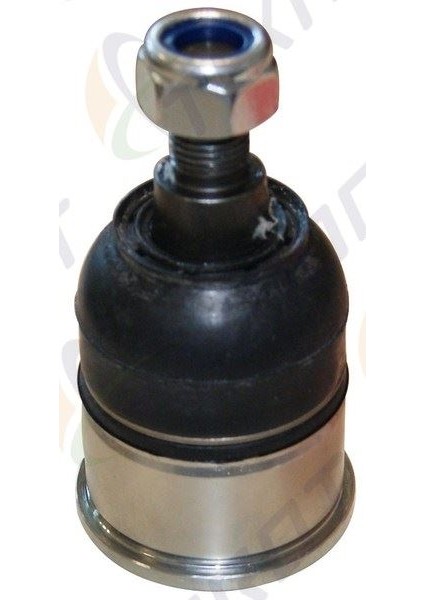 -H-380 - Rotıl Alt Sol-Sag Honda Accord Vııı (Cu) 2.4 I-Vtec 2008-