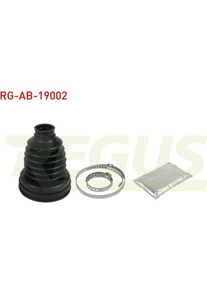 REGUS-RG-AB-19002 - Aks Korugu Ic Focus Iıı 2011-