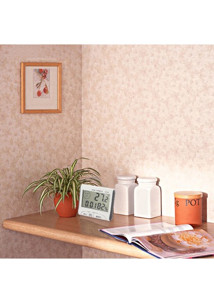 Has Mini Dijital Nem ve Sıcaklık Ölçer - Ev & Ofis (Yurt Dışından)