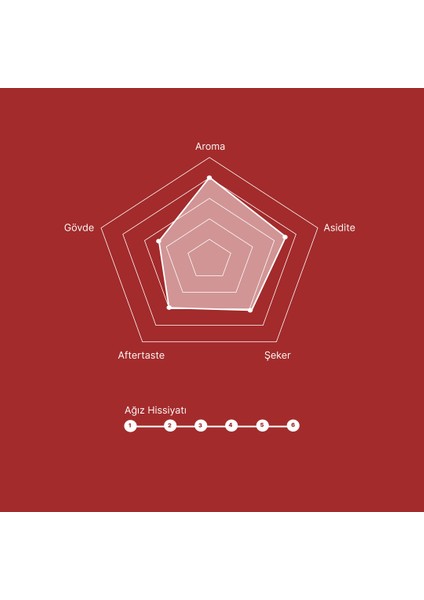 Santa Helena - Colombia - 800 gr 4 'lü Set (4x200 gr) Nitelikli Filtre Kahve - Kahve Çekirdeği - Çekirdek Kahve - Specialty Coffee - Third Wave Coffee