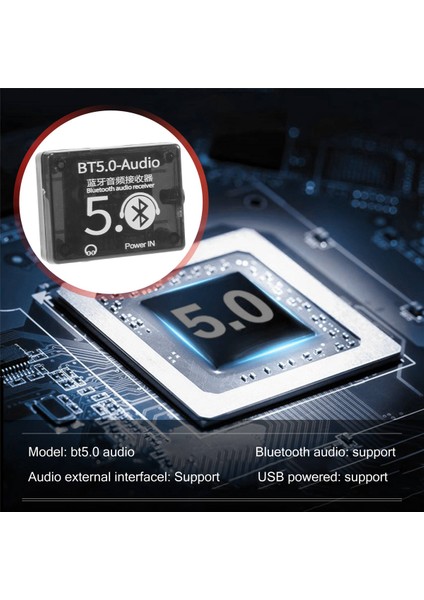 Bt5.0 Ses Alıcısı Mp3 Bluetooth Dekoder Kayıpsız Araç Hoparlörü Ses Amplifikatör Kurulu Kılıf ile (Yurt Dışından)