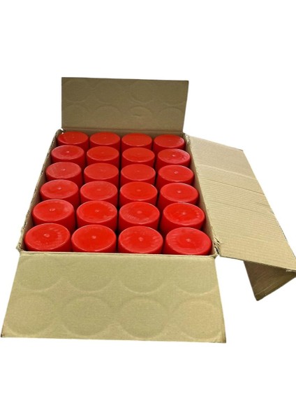 24'lü Braxıs balata Temizleyici 500ML 50279 (1 Koli)