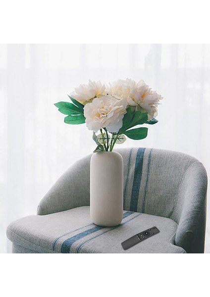 AH59-02767A Samsung HW-N400 Için Uzaktan Kumanda HW-N450/ZA HW-N550/ZA HW-N650/ZA HW-NW700/ZA Yankı Duvar Uzaktan Kumandası (Yurt Dışından) indirimleri