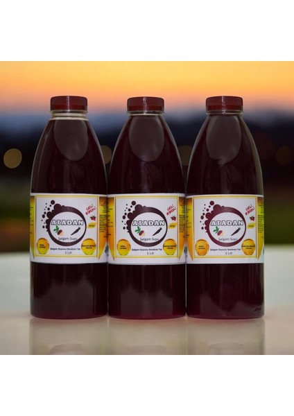 3 Adet 1 lt Acılı Şalgam Suyu Katkısız
