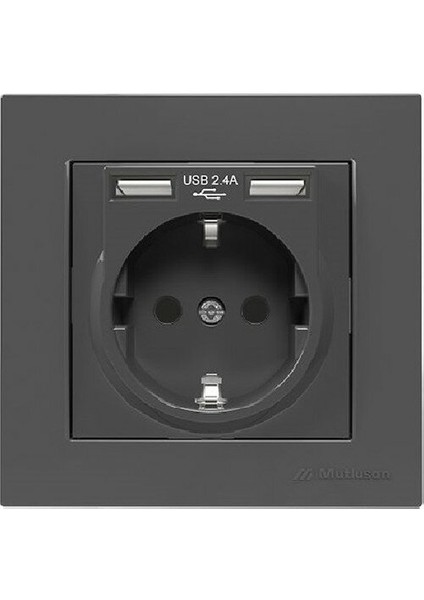 Rita Füme Çerçeveli Ikili Usb'li Topraklı Priz